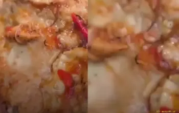 Heboh Belatung Ditemukan di Menu MBG SMK Pekalongan Video Viral di Medsos