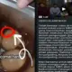 Viral Dugaan Menu MBG Berbelatung di SMA Pemalang, Pengunggah Minta Maaf dan Muncul Beragam Spekulasi
