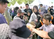 IDS Sumatra 2026 di Kalianda Bawa Berkah, Dagangan Pedagang Lansia Langsung Ludes 13 IDS Sumatera 2026 di Kalianda Dongkrak Ekonomi Produk UMKM Diserbu Pengunjung