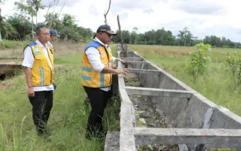 Irigasi Gantung di Mesuji–Tulang Bawang Segera Diperbaiki, BBWS Mesuji Sekampung Angkat Bicara
