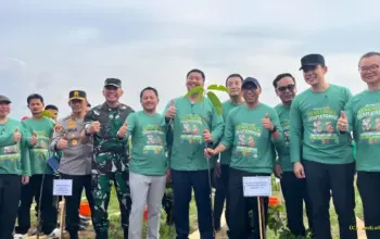 Menteri PKP Dorong Pengembang Wujudkan Program Satu Rumah Satu Pohon 8 Menteri PKP Dorong Developer Perumahan Terapkan Gerakan Tanam Pohon di Tiap Rumah