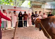 PDIP Lampung Sumbang 14 Hewan Kurban Dukung Ketahanan Pangan di Iduladha 2026