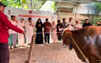 PDIP Lampung Sumbang 14 Hewan Kurban Dukung Ketahanan Pangan di Iduladha 2026
