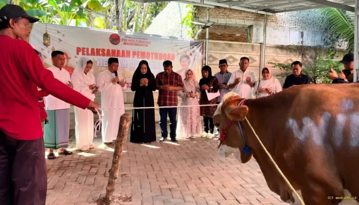 PDIP Lampung Kurban 14 Ekor Hewan, Perkuat Gotong Royong dan Ketahanan Pangan di Iduladha 2026