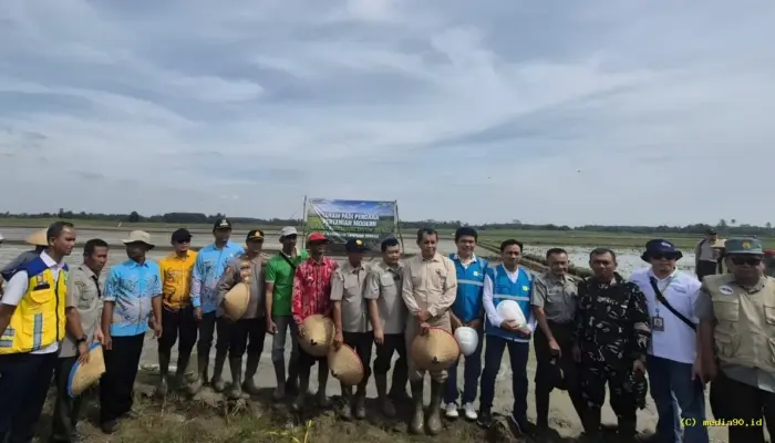 PLN Lampung Dukung Pertanian Modern, Perkuat Ketahanan Pangan Daerah