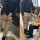 Viral! Penumpang Wanita Berani Lawan Dugaan Pelecehan Seksual di TransJakarta, Pelaku Diamankan