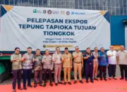 Pemprov Lampung Lepas Ekspor Perdana 3 Ribu Ton Tapioka ke Tiongkok Petani Singkong Didorong Naik Kelas