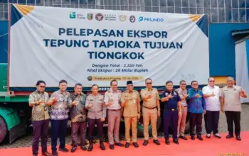 Pemprov Lampung Lepas Ekspor Perdana 3 Ribu Ton Tapioka ke Tiongkok Petani Singkong Didorong Naik Kelas
