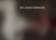 Viral Kecelakaan di Jalan Pahlawan Temanggung Dua Pengendara Kritis Usai Tabrak Pohon