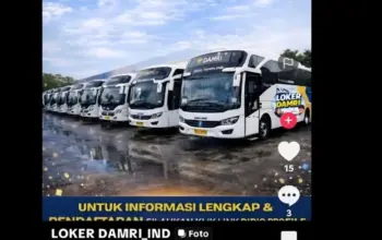 Awas Tertipu! Lowongan Kerja DAMRI 2026 di TikTok Ternyata Mengarah ke Formulir Data Pribadi 7 Awas Tertipu! Lowongan Kerja DAMRI 2026 di TikTok Ternyata Mengarah ke Formulir Pengumpulan Data Pribadi