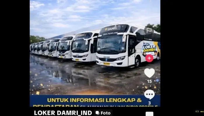 Awas Tertipu! Lowongan Kerja DAMRI 2026 di TikTok Ternyata Mengarah ke Formulir Data Pribadi