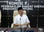 DPRD Lampung Dukung Pembangunan Pabrik Bioetanol untuk Tingkatkan Nilai Jual Singkong