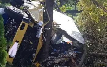 Detik-detik Truk Muatan Ikan Terguling di Pantai Gemah, Diduga Hilang Kendali Saat Menyalip