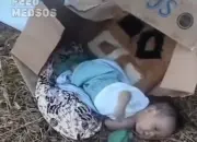 Geger! Bayi Laki-laki Ditemukan Terlantar di Dalam Kardus di Makassar, Ada Luka Diduga Bekas Operasi 12 Geger! Bayi Laki-laki Ditemukan Terlantar di Dalam Kardus di Makassar, Ada Luka Diduga Bekas Operasi
