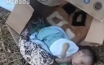 Geger! Bayi Laki-laki Ditemukan Terlantar di Dalam Kardus di Makassar, Ada Luka Diduga Bekas Operasi 5 Geger! Bayi Laki-laki Ditemukan Terlantar di Dalam Kardus di Makassar, Ada Luka Diduga Bekas Operasi