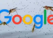 Google Kembangkan 32 Juta Nyamuk untuk Dilepas ke Alam Ternyata Ini Tujuannya
