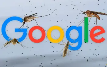 Google Kembangkan 32 Juta Nyamuk untuk Dilepas ke Alam Ternyata Ini Tujuannya