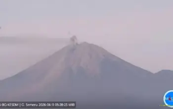 Gunung Semeru Erupsi Pagi Ini, Kolom Abu Capai 500 Meter Mengarah ke Selatan 4 Gunung Semeru Erupsi Pagi Ini Kolom Abu Mencapai 500 Meter ke Arah Selatan