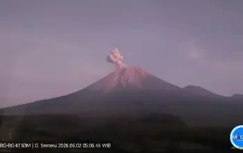 Gunung Semeru Kembali Erupsi, Kolom Abu Capai 900 Meter Warga Diimbau Tingkatkan Kewaspadaan 6 Gunung Semeru Kembali Erupsi, Pemerintah Imbau Warga Tingkatkan Kewaspadaan