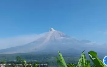 Erupsi Gunung Semeru 7 Juni 2026, Kolom Abu 400 Meter dan Aktivitas Seismik Terekam Kuat 8 Gunung Semeru Kembali Erupsi pada 7 Juni 2026, Abu Vulkanik Membumbung 400 Meter