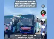 Jangan Tertipu Lowongan 1.500 Pegawai Dishub yang Viral di TikTok Diduga Tidak Benar