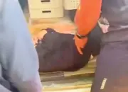 Kecelakaan Tunggal di Batang, Dua Pekerja Perempuan Terjatuh Saat Menuju PT Dream Plastik 10 Kecelakaan Tunggal di Batang Dua Pekerja Perempuan Terjatuh Saat Menuju PT Dream Plastik