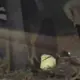Kecelakaan Tunggal di Tlogosari Semarang, Pengendara Wanita Alami Patah Tulang Usai Tabrak Trotoar