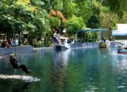 Keindahan Karawang Tak Hanya Industri, Ini 12 Wisata Menarik yang Bisa Dikunjungi