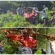 Pencarian Lansia Hilang di Temanggung Berakhir Duka, Korban Ditemukan Meninggal Dunia
