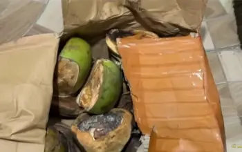 Viral Dugaan Penipuan Kaki Sapi Rp3,3 Juta, Paket yang Diterima Malah Berisi Kelapa 9 Miris! Transfer Jutaan untuk Kaki Sapi, Isi Paket yang Diterima Tak Sesuai Pesanan