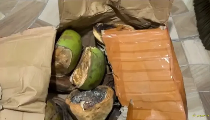 Viral Dugaan Penipuan Kaki Sapi Rp3,3 Juta, Paket yang Diterima Malah Berisi Kelapa
