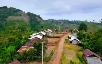 PLN Lampung Alirkan Listrik ke Tujuh Desa, Rasio Desa Berlistrik Terus Meningkat 7 PLN Lampung Alirkan Listrik ke Tujuh Desa Rasio Desa Berlistrik Terus Meningkat