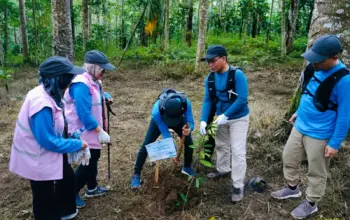 PLN UID Lampung Perkuat Komitmen Lingkungan Lewat Aksi Tanam Pohon di Hari Lingkungan Hidup Sedunia
