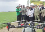 Pemprov Lampung Hadirkan Solusi Drone dan Pengendalian Hama untuk Tingkatkan Produktivitas Petani Mesuji