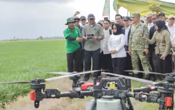 Pemprov Lampung Hadirkan Solusi Drone dan Pengendalian Hama untuk Tingkatkan Produktivitas Petani Mesuji