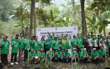 Hari Lingkungan Hidup Sedunia, PLN UP Tarahan dan KTH Rangai Sejahtera Tanam 1.800 Pohon untuk Kelestarian Hutan 6 Peringati Hari Lingkungan Hidup Sedunia PLN UP Tarahan dan KTH Rangai Sejahtera Tanam 1.800 Pohon