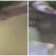 Driver Maxim Bandara Ditemukan Tewas Bersimbah Darah di Maros, Polisi Selidiki Pelaku