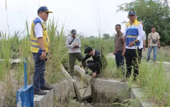 BBWS Mesuji Sekampung dan PT Brantas Abipraya Percepat Perbaikan Saluran Irigasi Way Gemol Tubaba
