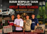 Tiga Pekerja di Lampung Selatan Klaim Diberhentikan Tanpa Pesangon Setelah Puluhan Tahun Mengabdi