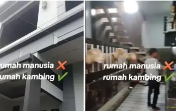 Viral! Kandang Domba Mewah di Batur Banjarnegara Mirip Vila Sultan Bikin Netizen Syok 3 Viral Kandang Domba Mewah di Batur Banjarnegara Mirip Istana Sultan Bikin Heboh Netizen