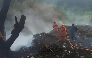Bakar TPS Ilegal di Cikeas DLH Wajibkan Pelaku Bersihkan Sampah dan Kembalikan Fungsi Lahan
