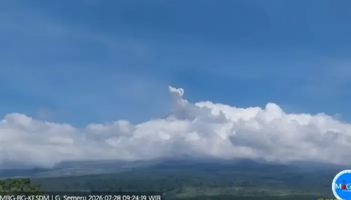 Gunung Semeru Erupsi Hari Ini, Kolom Abu Capai 800 Meter! Warga Diminta Jauhi Zona Bahaya