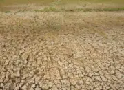 Hadapi Ancaman El Nino Pemprov Banten Siapkan Pompa Air untuk Cegah Sawah Kekeringan