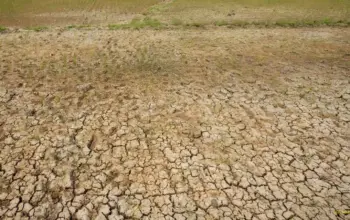 Hadapi Ancaman El Nino Pemprov Banten Siapkan Pompa Air untuk Cegah Sawah Kekeringan