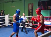 Bidik Medali Emas, Pertina Lampung Matangkan Persiapan PON Beladiri II Lewat Ajang VIP Boxing 10 Jelang PON Beladiri II Pertina Lampung Asah Kemampuan Atlet di Ajang VIP Boxing