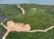 Kemenhut Tetapkan PT GTP Tersangka Kasus Perambahan Hutan di Kepri Terancam 10 Tahun Penjara