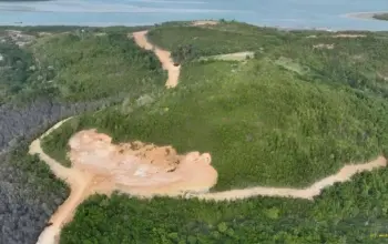 Kemenhut Tetapkan PT GTP Tersangka Kasus Perambahan Hutan di Kepri Terancam 10 Tahun Penjara