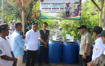 Pemprov Lampung Dorong Penguatan Ekonomi Desa melalui Inovasi Pertanian di Lampung Barat
