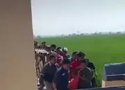 Perangkat Desa Kalipancur Ditemukan Tewas di Tengah Sawah Polisi Ungkap Temuan Luka dan Barang Bukti