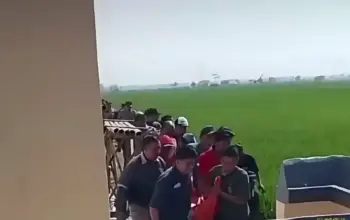 Perangkat Desa Kalipancur Ditemukan Tewas di Tengah Sawah Polisi Ungkap Temuan Luka dan Barang Bukti